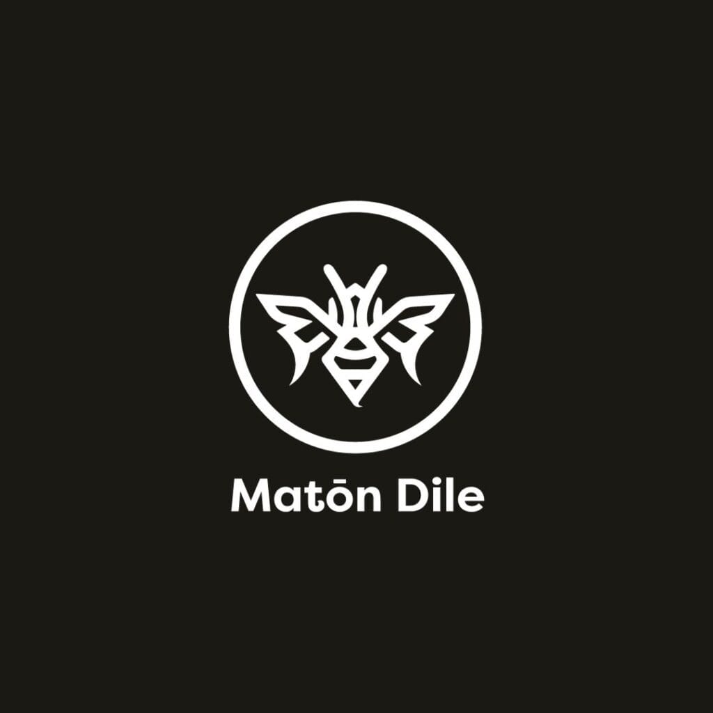 Maton-Dile-Showcase-Tiny-Taurus-Website-Multimedia-Designer-2